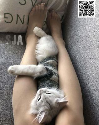 95集三国高清全集免费观看