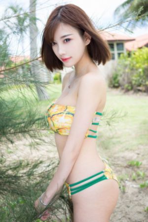 大明星免费观看完整