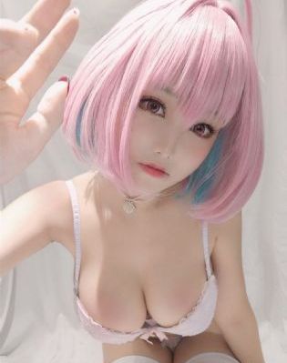 文豪野犬第季第五季