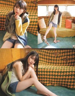 再见美人鱼