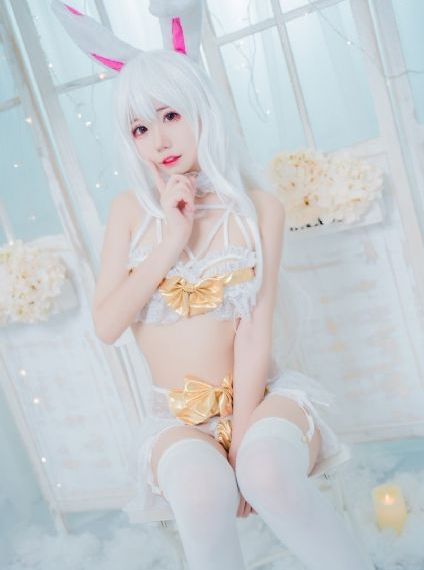 猫咪最新域名
